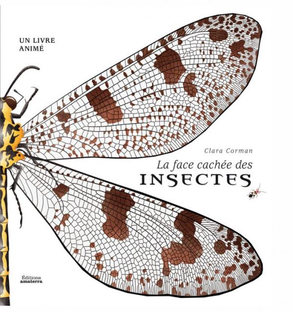 La face cachée des insectes. Un livre animé