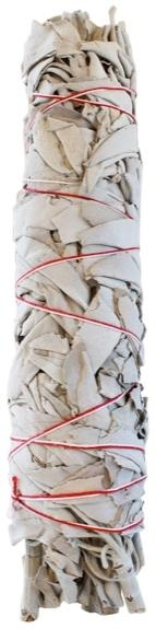 SAUGE BLANCHE PURIFICATRICE SALVIA APIANA - LARGE