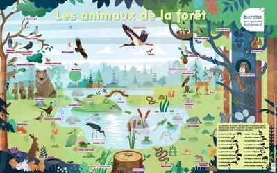 Les animaux de la forêt
