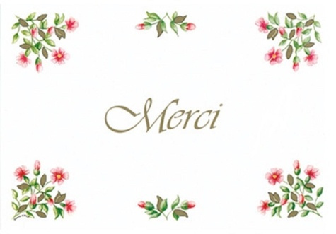 Pack merci anm07 10ex