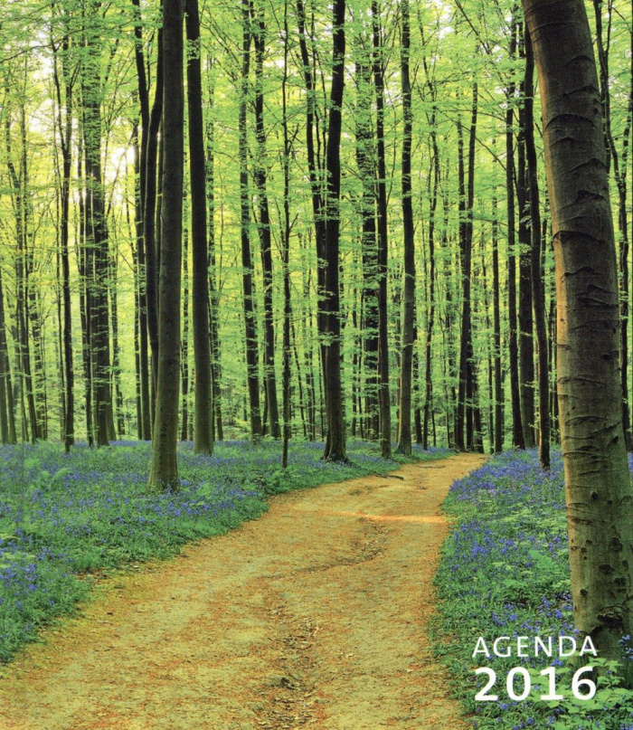 AGENDA PRIER 2016
