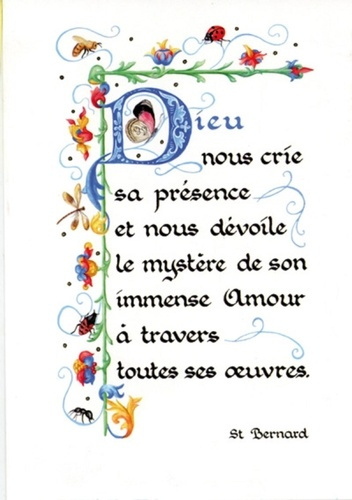 PACK ENLUMINURE AN330 10EX