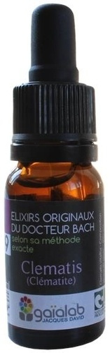 ELIXIR FLORAL N 9 - CLEMATIS