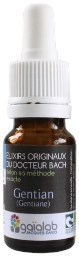 ELIXIR FLORAL N 12 - GENTIAN