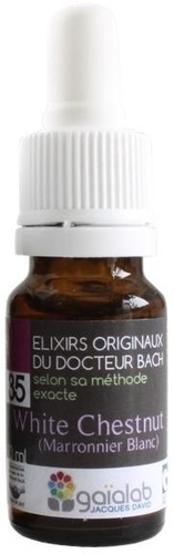 ELIXIR FLORAL N 35 - WHITE CHESTNUT