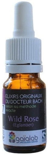 ELIXIR FLORAL N 37 - WILD ROSE