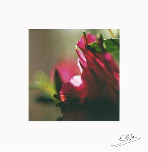 LOT DE 10 CARTES - ALSTROMERE VIOLETTE N 1