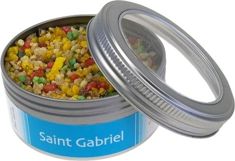 ENCENS SAINT GABRIEL - BOITE 100 G