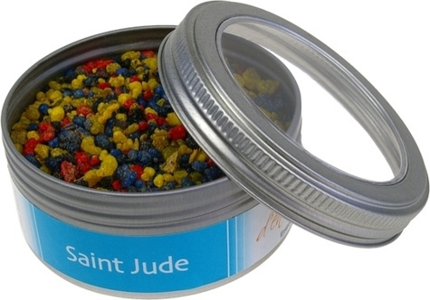 ENCENS SAINT JUDE - BOITE 100 G