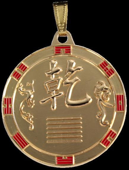 MEDAILLE KIEN "LA FORCE ACTIVE"