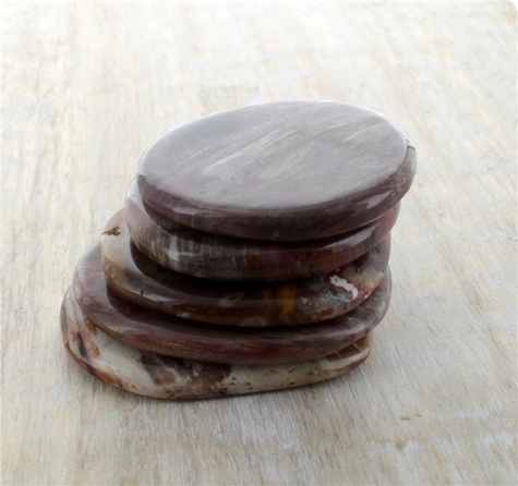 SMOOTH STONE BOIS FOSSILE/SILICIFIE