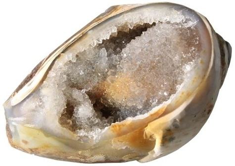 COQUILLAGE SPIRALITE (FOSSILISE AVEC DU CRISTAL DE ROCHE)