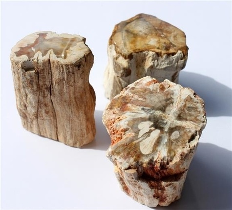 bois fossile/silicifie - total 150 a 200 grs