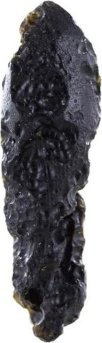 TECTITE NOIRE - LOT DE 250 GR.