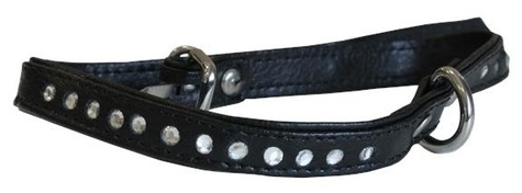 COLLIER AVEC AIMANTS POUR CHIEN