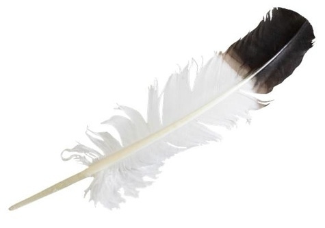 PLUME D'OIE STYLE AIGLE