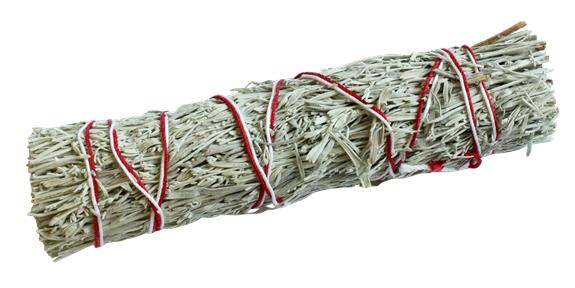 SAUGE BLUE SHASTA PURIFICATRICE - PETIT