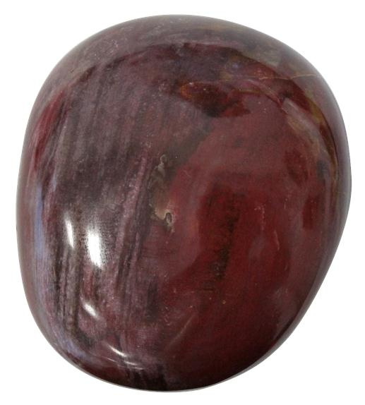 GALET BOIS FOSSILE/SILICIFIE - PIECE DE 4 A 6 CM