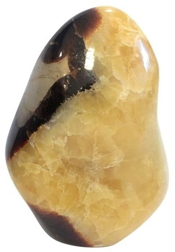 FORME LIBRE POLIE 500 GRAMMES A 1 KILO - SEPTARIA