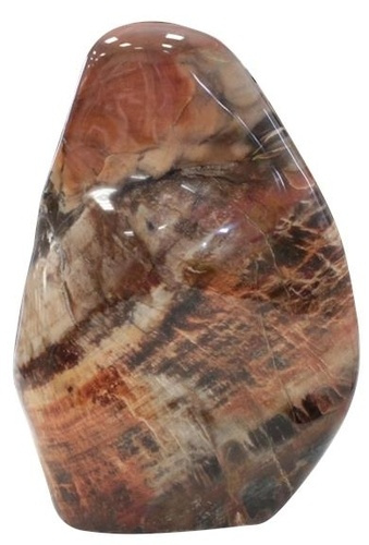 FORME LIBRE POLIE 1 A 2 KILOS - BOIS FOSSILE/SILICIFIE