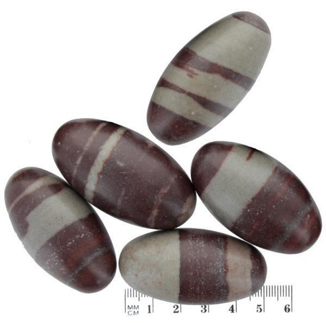 Sachet Lingams Qualité Extra - 5 cm