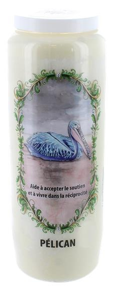 Neuvaine animal totem - Pélican