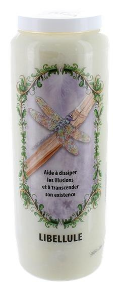 Neuvaine animal totem - Libellule