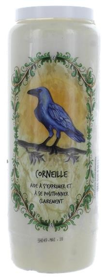 NEUVAINE ANIMAL TOTEM : CORNEILLE