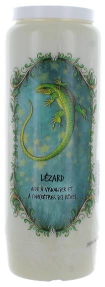 NEUVAINE ANIMAL TOTEM : LEZARD