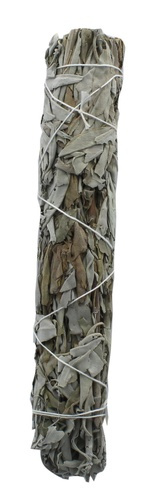 SAUGE BLANCHE GREEN TREE BATON PURIFICATEUR GRAND MODELE