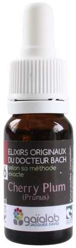 ELIXIR FLORAL N 6 - CHERRY PLUM