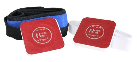 POCHETTE 2 AIMANTS 3800 GAUSS