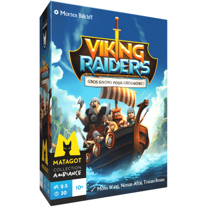 VIKING RAIDERS
