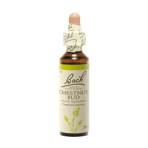 Fleurs de Bach Original N°7 Chestnut Bud - 20 ml