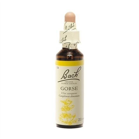 Fleurs de Bach Original N°13 Gorse - 20 ml