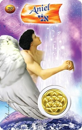 CARTE ANGE N 37 - ANIEL