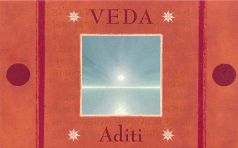 ENCENS VEDA CONES - FRANGIPANIER / ADITI