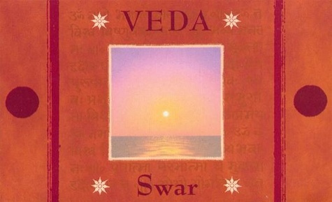 ENCENS VEDA CONES - CHAMPAK / SWAR