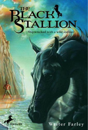 BLACK STALLION ETALON NOIR