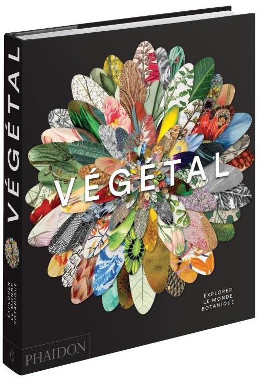 Végétal. Explorer le monde botanique