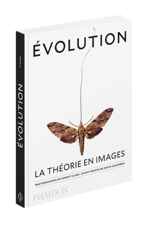 Evolution - La théorie en images