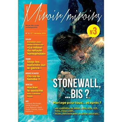 Miroir/Miroirs N° 3, 2e semestre 2014 : Stonewall... bis ? Les oublié(e)s du mariage pour tous...