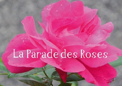 LA PARADE DES ROSES LIVRE POSTER DIN A3 HORIZONTAL
