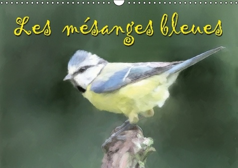 LES MESANGES BLEUES CALENDRIER MURAL 2016 DIN A3 HORIZONTAL