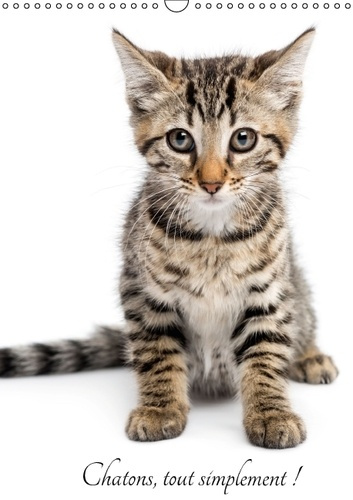 CHATONS TOUT SIMPLEMENT CALENDRIER MURAL 2016 DIN A3 VERTICAL