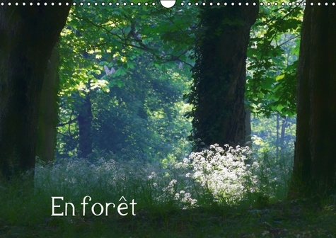 EN FORET CALENDRIER MURAL 2016 DIN A3 HORIZONTAL