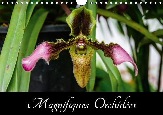 MAGNIFIQUES ORCHIDEES CALENDRIER MURAL 2016 DIN A4 HORIZONTAL