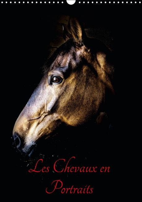 CHEVAUX EN PORTRAITS CALENDRIER MURAL 2016 DIN A3 VERTICAL