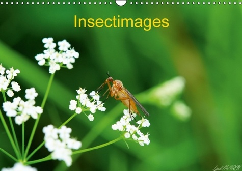 Insectimages. Photographies d'insectes. Calendrier mural A3 horizontal 2016