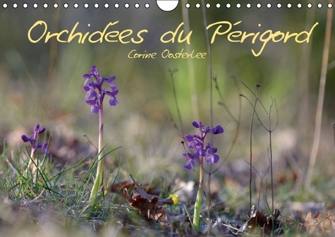 Orchidées du Périgord. Belles et fragiles fleurs sauvages. Calendrier mural A4 horizontal 2016
